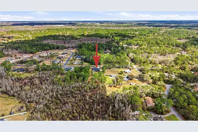 8001 Woodleaf Boulevard, Wesley Chapel, FL 33544 - Photo 49