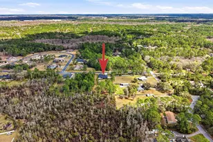 8001 Woodleaf Blvd, Wesley Chapel, FL 33544 - Photo 49