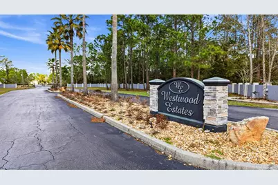 8001 Woodleaf Boulevard, Wesley Chapel, FL 33544 - Photo 53