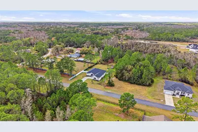 8001 Woodleaf Boulevard, Wesley Chapel, FL 33544 - Photo 57