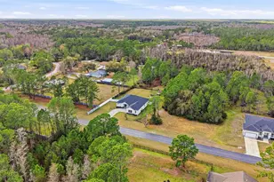 8001 Woodleaf Blvd, Wesley Chapel, FL 33544 - Photo 57
