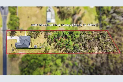 8001 Woodleaf Boulevard, Wesley Chapel, FL 33544 - Photo 55