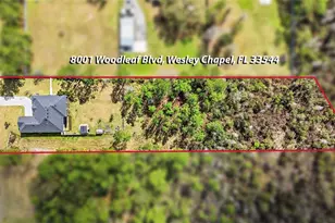 8001 Woodleaf Blvd, Wesley Chapel, FL 33544 - Photo 55