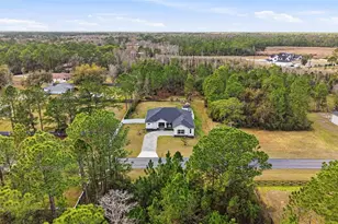 8001 Woodleaf Blvd, Wesley Chapel, FL 33544 - Photo 51