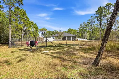 8001 Woodleaf Boulevard, Wesley Chapel, FL 33544 - Photo 47