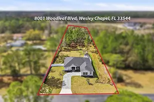 8001 Woodleaf Blvd, Wesley Chapel, FL 33544 - Photo 3
