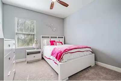 32401 Natural Bridge Road, Wesley Chapel, FL 33543 - Photo 31