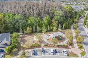 32401 Natural Bridge Rd, Wesley Chapel, FL 33543 - Photo 51