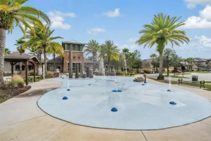 32401 Natural Bridge Rd, Wesley Chapel, FL 33543 - Photo 49