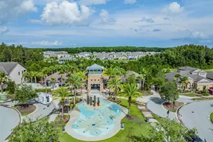 32401 Natural Bridge Rd, Wesley Chapel, FL 33543 - Photo 41