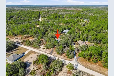 34067 Eiler Boulevard, Ridge Manor Estates, FL 33597 - Photo 3