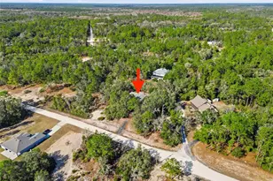 34067 Eiler Blvd, Ridge Manor Estates, FL 33597 - Photo 3