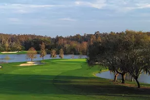 36750 US Hwy 19 N, Palm Harbor, FL 34684 - Photo 67