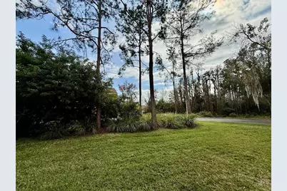 29920 Playa Del Rey Lane, Wesley Chapel, FL 33543 - Photo 25
