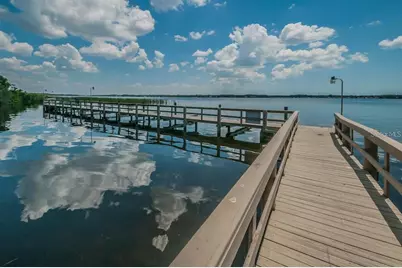 3925 Silk Oak Lane, Palm Harbor, FL 34685 - Photo 51