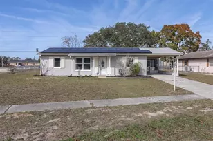 3409 Plaza Ave, Spring Hill, FL 34608 - Photo 5