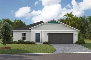 9242 Pavilion Shade Dr, Zephyrhills, FL 33541 - Photo 1
