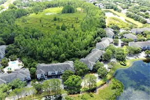13235 Sanctuary Cove Dr, Temple Terrace, FL 33637 - Photo 5