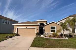 33034 Sand Creek Dr, Wesley Chapel, FL 33543 - Photo 1