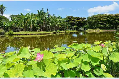 1105 92nd Street NW, Bradenton, FL 34209 - Photo 71