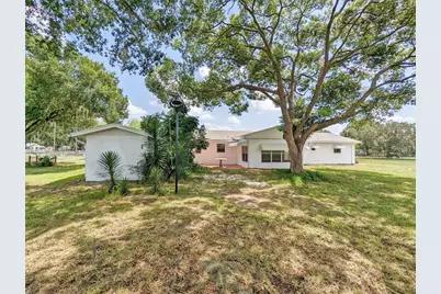 18110 Dorman Road, Lithia, FL 33547 - Photo 5