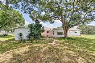 18110 Dorman Rd, Lithia, FL 33547 - Photo 5