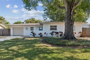 4705 W Alline Ave, Tampa, FL 33611 - Photo 3