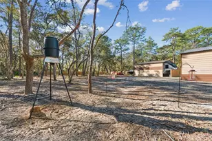 9078 Birmingham Ave, Weeki Wachee, FL 34613 - Photo 45