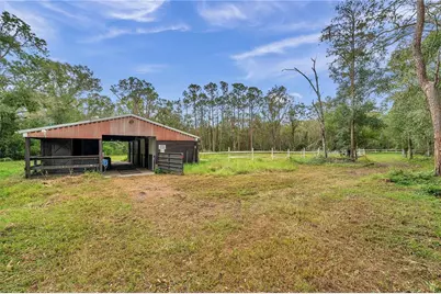 655 Appaloosa Road, Tarpon Springs, FL 34688 - Photo 15