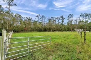 655 Appaloosa Rd, Tarpon Springs, FL 34688 - Photo 13