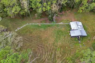 655 Appaloosa Rd, Tarpon Springs, FL 34688 - Photo 7