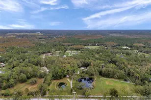 655 Appaloosa Rd, Tarpon Springs, FL 34688 - Photo 3