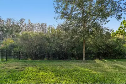 4155 Barletta Court, Wesley Chapel, FL 33543 - Photo 43