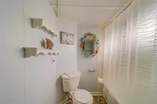 35204 Ada Ave, Zephyrhills, FL 33541 - Photo 19