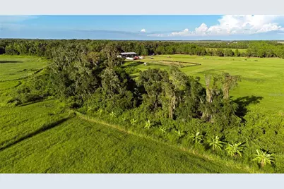 34400 Sr-62, Parrish, FL 34219 - Photo 3