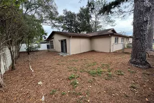 1904 Peppertree Dr, Oldsmar, FL 34677 - Photo 19