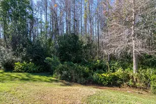 18916 St Laurent Dr, Lutz, FL 33558 - Photo 61