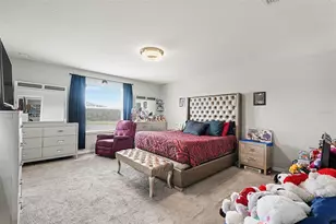 17206 White Mangrove Dr, Wimauma, FL 33598 - Photo 15