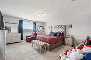 17206 White Mangrove Dr, Wimauma, FL 33598 - Photo 15