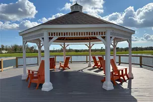 12207 Violet Jasper Dr, Parrish, FL 34219 - Photo 57