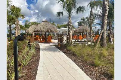 12207 Violet Jasper Drive, Parrish, FL 34219 - Photo 59