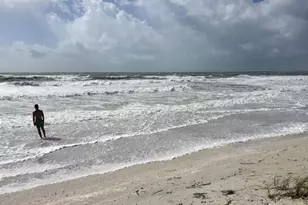 7710 Bayshore Dr, Treasure Island, FL 33706 - Photo 9