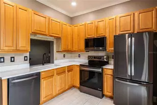 21032 Picasso Ct, Land O Lakes, FL 34637 - Photo 3