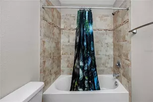 11454 Crowned Sparrow Ln, Tampa, FL 33626 - Photo 15