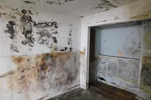 2002 E Okaloosa Ave, Tampa, FL 33604 - Photo 13