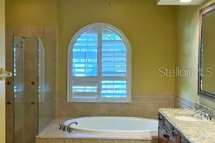 20010 Ryman Pl, Tampa, FL 33647 - Photo 9