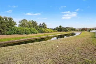 10657 Standing Stone Dr, Wimauma, FL 33598 - Photo 29