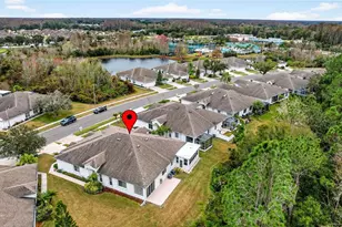 1737 Sassafras Dr, Wesley Chapel, FL 33543 - Photo 43