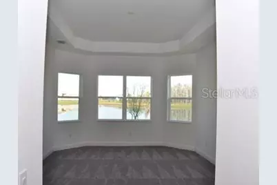 2471 Coco Palm Circle, Wesley Chapel, FL 33543 - Photo 21