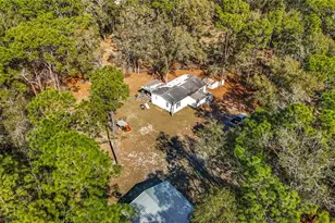 6421 Sunnyside Ranch Rd, Brooksville, FL 34602 - Photo 45